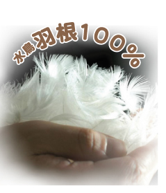 �������ģ������å�